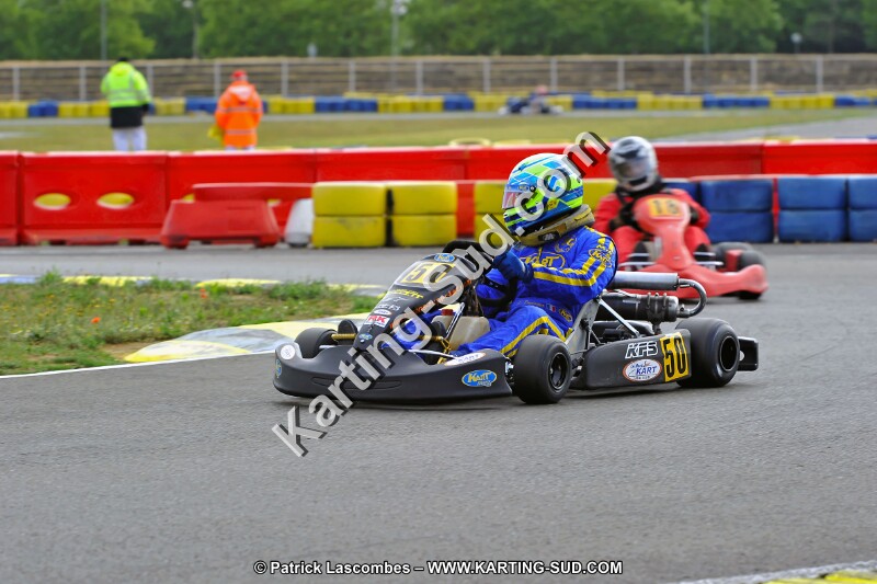 DSC_ (1240).jpg